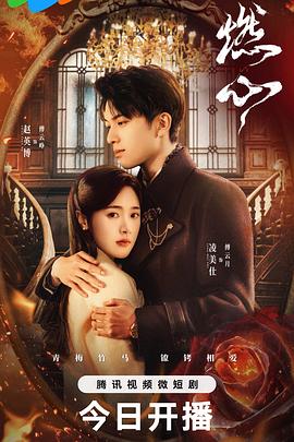 无码dV二区久久